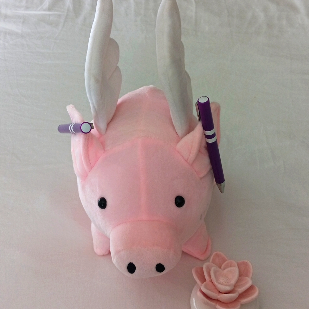 Stuffed animal/Piggy - Picture 2 of 6